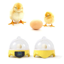 Mini 7 Eggs Incubator