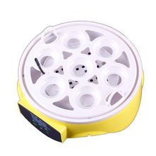 Mini 7 Eggs Incubator