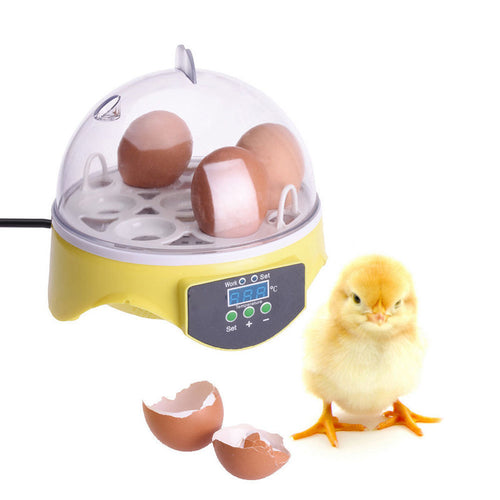 Mini 7 Eggs Incubator
